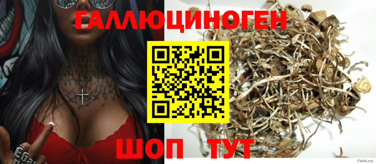 Галлюциногенные грибы Magic Shrooms  Вход с VPN  Псилоцибиновые грибы Magic Shrooms  Нефтекамск 